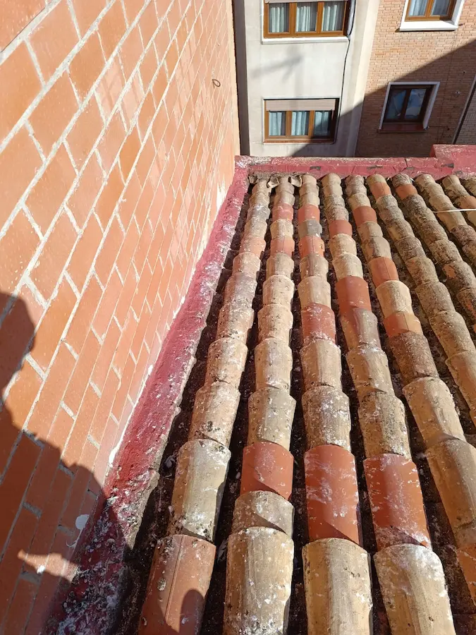 Durante la limpieza del tejado, antes de aplicar la fibra nueva